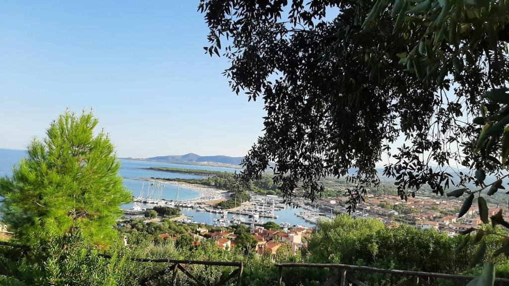 a view of a harbor with boats in the water at Apartments Porto Ottiolu Mare in Porto Ottiolu