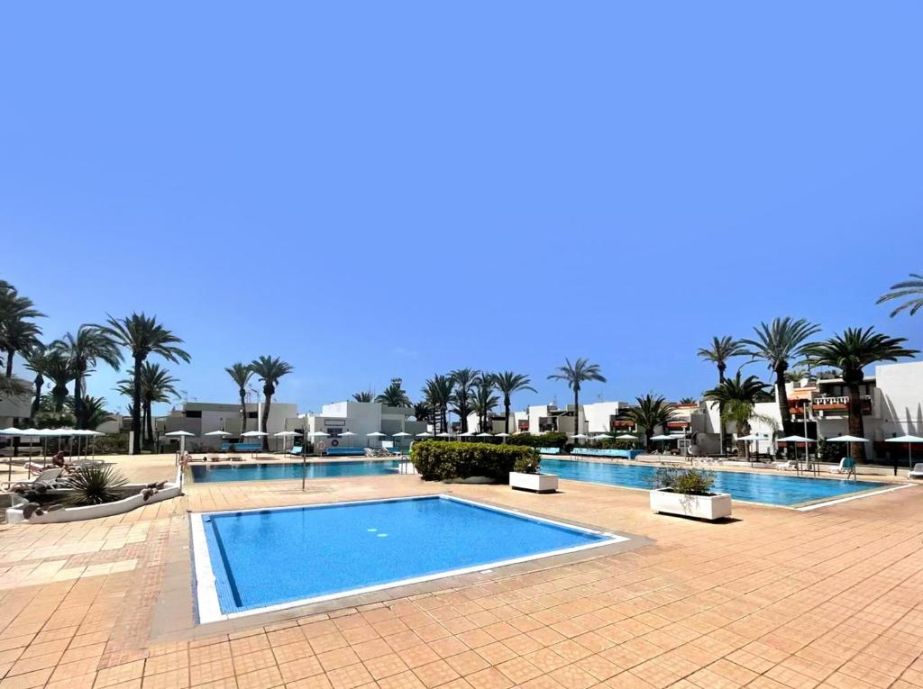 a large swimming pool in a resort with palm trees at Residencial Primavera in Arona