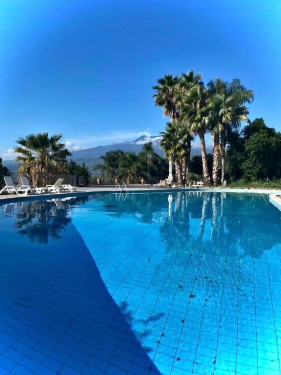 a large blue swimming pool with palm trees in the background at Casa Orchidea in Calatabiano