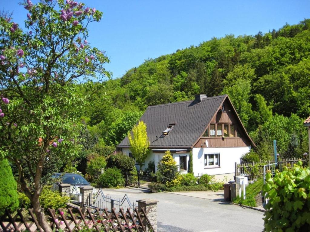 a house with a mountain in the background at Haus Am Waldrand in Freital