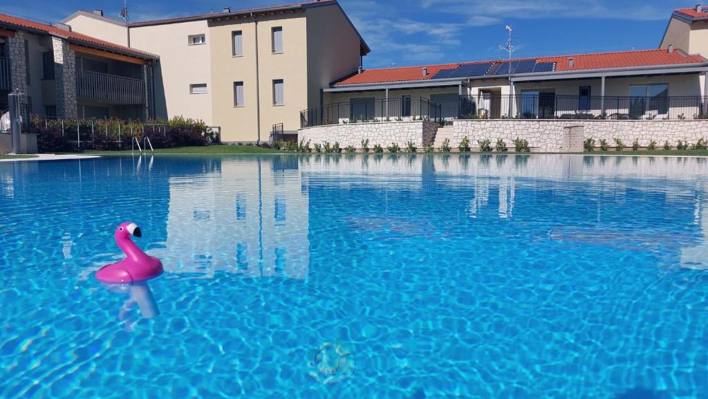 a pink rubber duck in the water in a swimming pool at New Casa Augusto in Lazise
