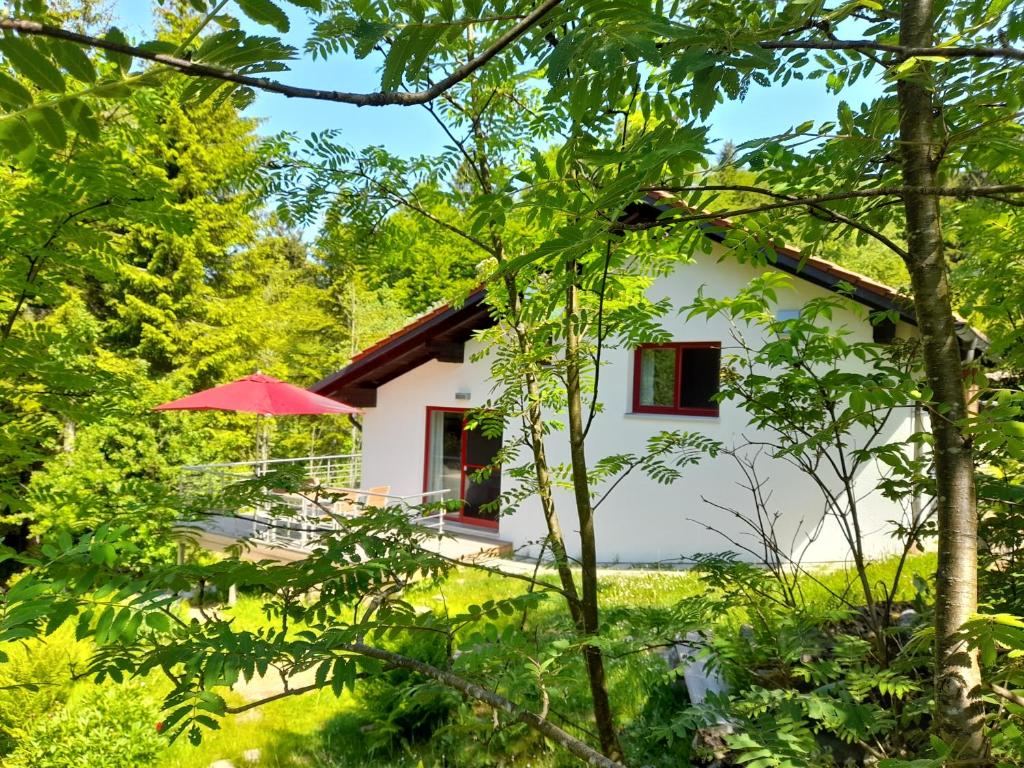 a house in the woods with a red umbrella at Berghütte Waldhäuser in Neuschönau