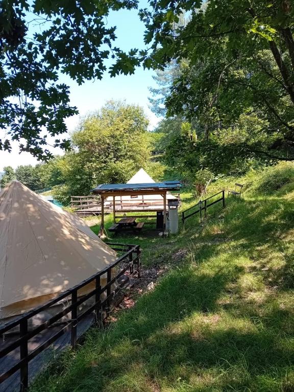 a picnic shelter in a field with trees at Glamping C Selva Tenda Quercia in Piano Porlezza