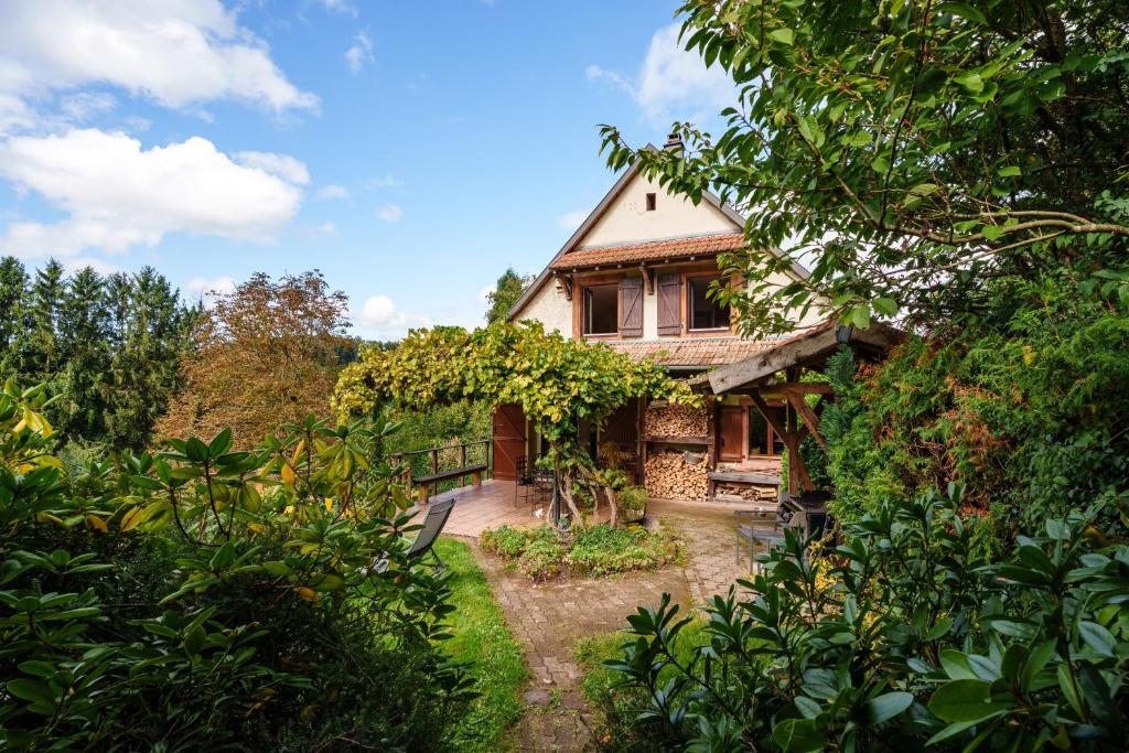 a house in the middle of a forest at La Colline aux Oiseaux in Tieffenbach