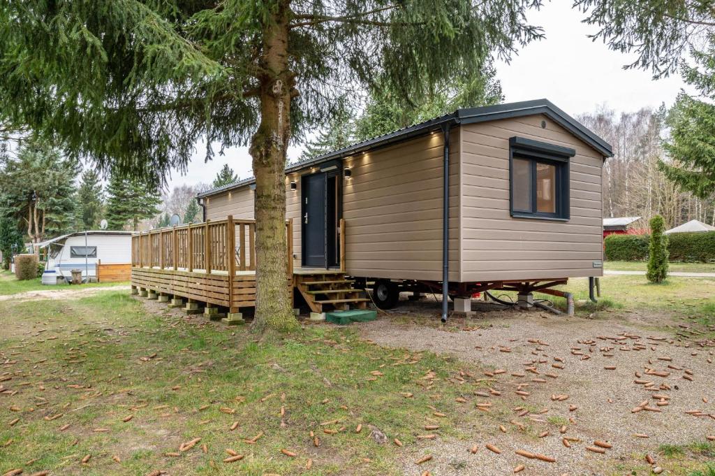 a tiny house sitting next to a tree at Haus Zander in Lohmen
