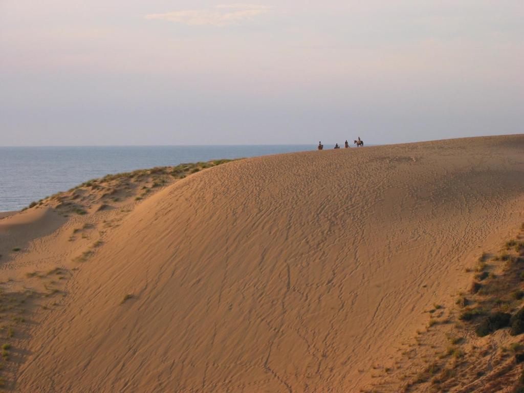 people standing on top of a sand dune near the ocean at Casina Torre in Torre Dei Corsari