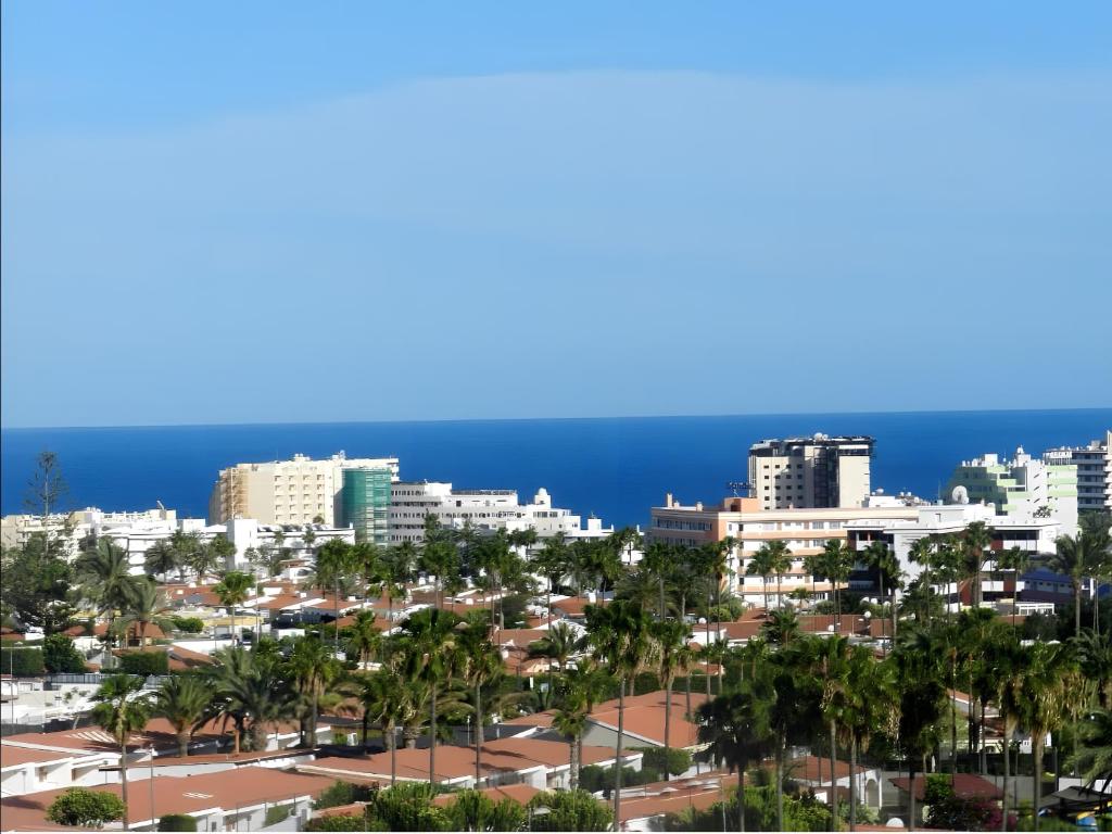 a view of a city with palm trees and the ocean at Loft Molinos Atalaya in San Bartolomé