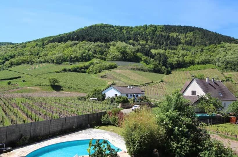 La Belle Étape - Apartment with Swim. Pool & Spa – photo 21
