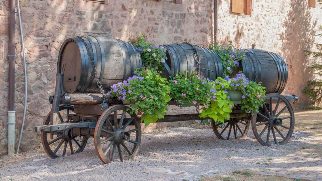 Lisa's Gîte: with terrace near Colmar – photo 18