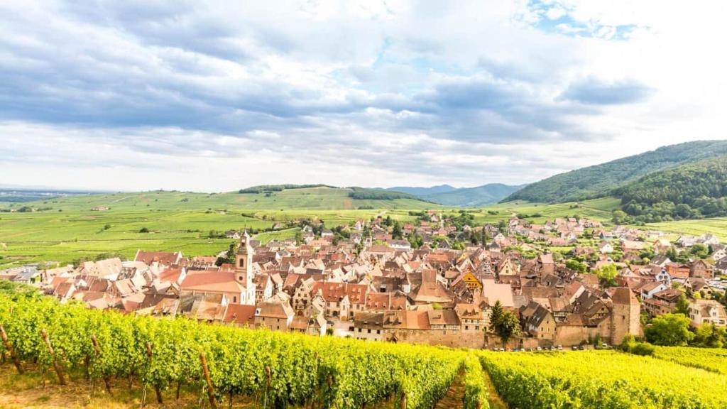 Lisa's Gîte: with terrace near Colmar – photo 16