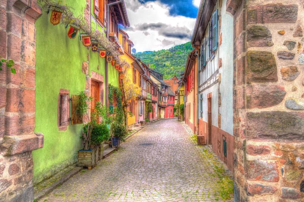 Lisa's Gîte: with terrace near Colmar – photo 14