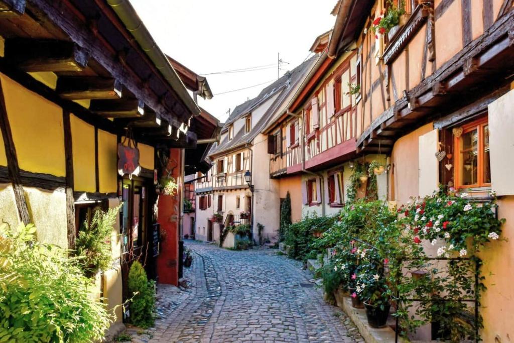 Lisa's Gîte: with terrace near Colmar – photo 12