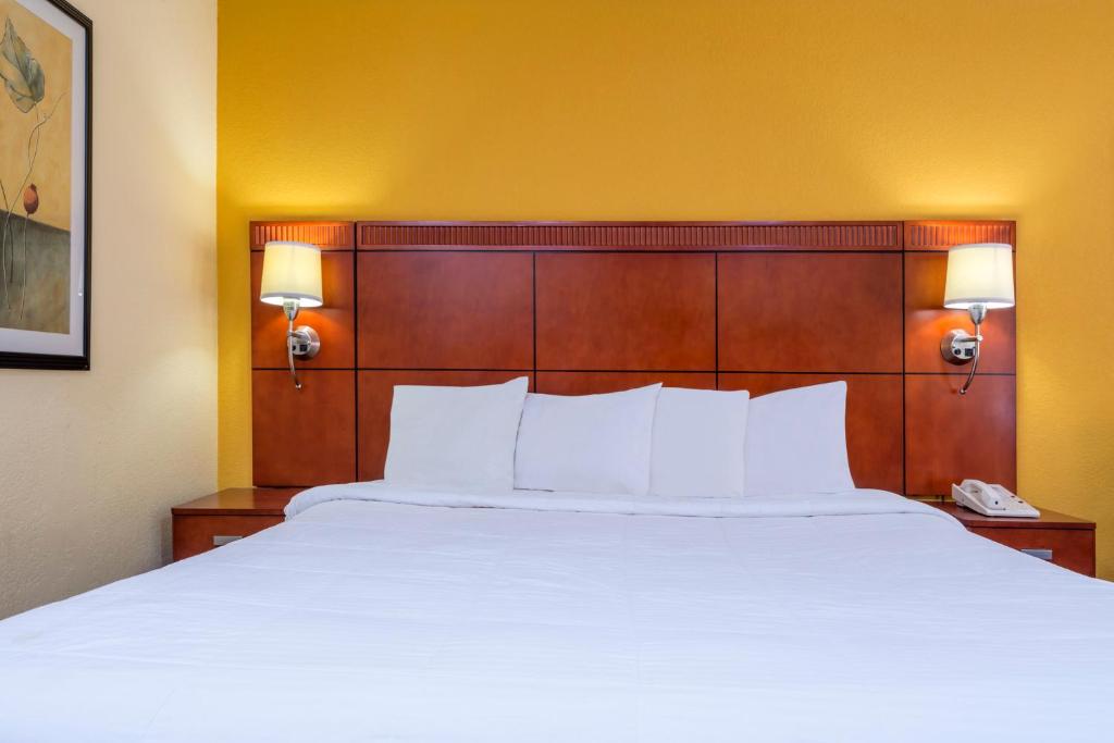Days Inn by Wyndham Knoxville East - Camera King - Accesso Disabili/Non Fumatori