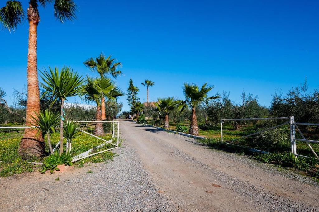 a dirt road with palm trees and a fence at El Paraíso Del Olivar in Bollullos de la Mitación