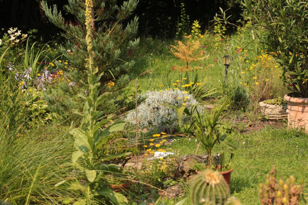 a garden with many different types of plants and flowers at Ferienwohung zum Wasserfall in Üxheim