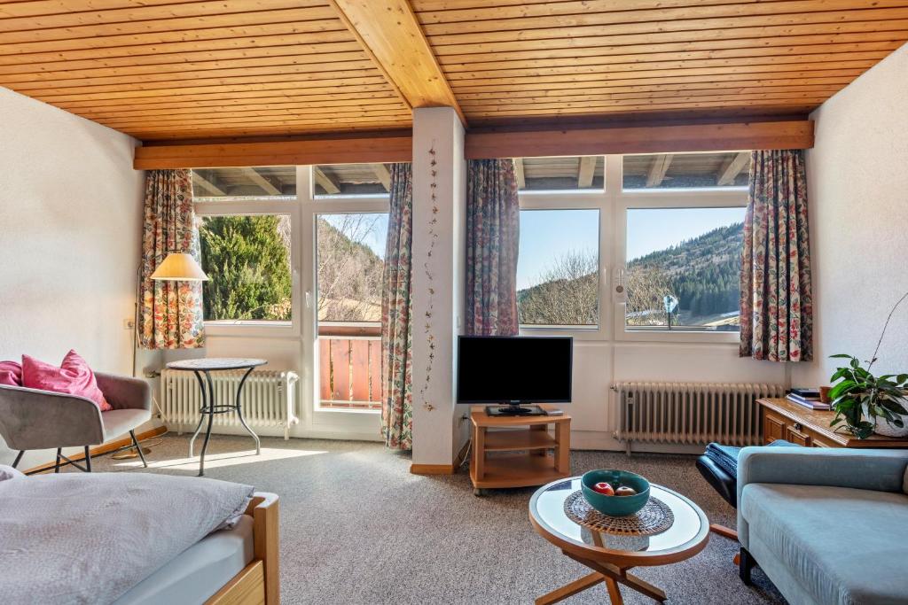 a living room with a couch and a tv at Wohnung Claudia mit Balkon in Todtnau