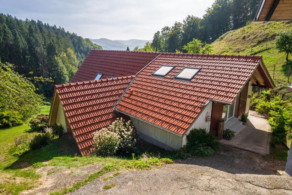 a house with a red roof on a mountain at Haus Wiesenruhe in Seebach