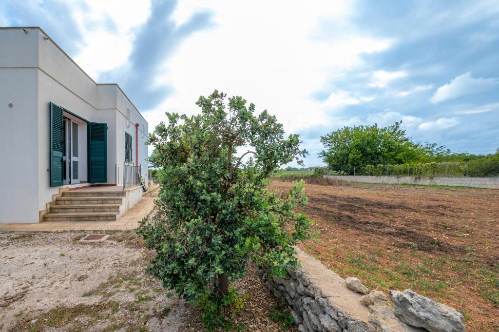 ein kleiner Baum vor einem Gebäude in der Unterkunft Muma House in Otranto