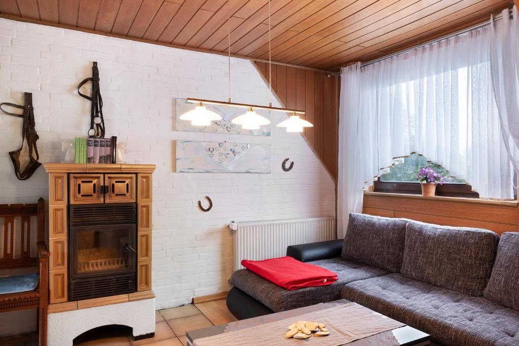 a living room with a couch and a fireplace at Mole Valley Ranch Fewo2 in Elmlohe