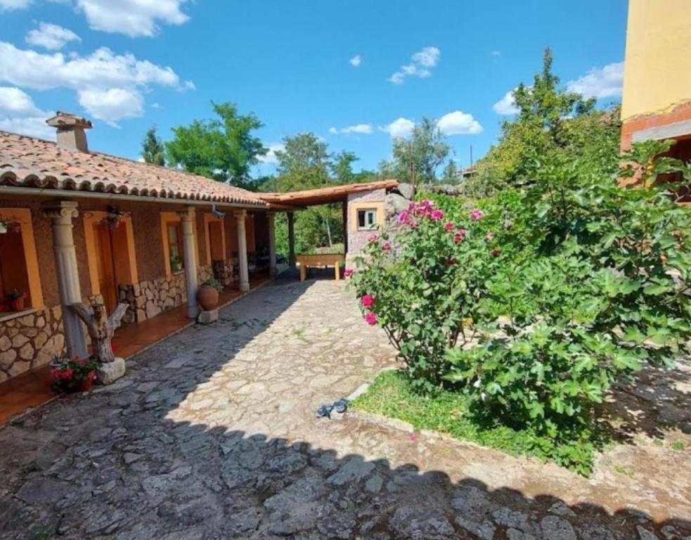 a courtyard of a house with a bush at Mansió De La Plata in Peñacaballera