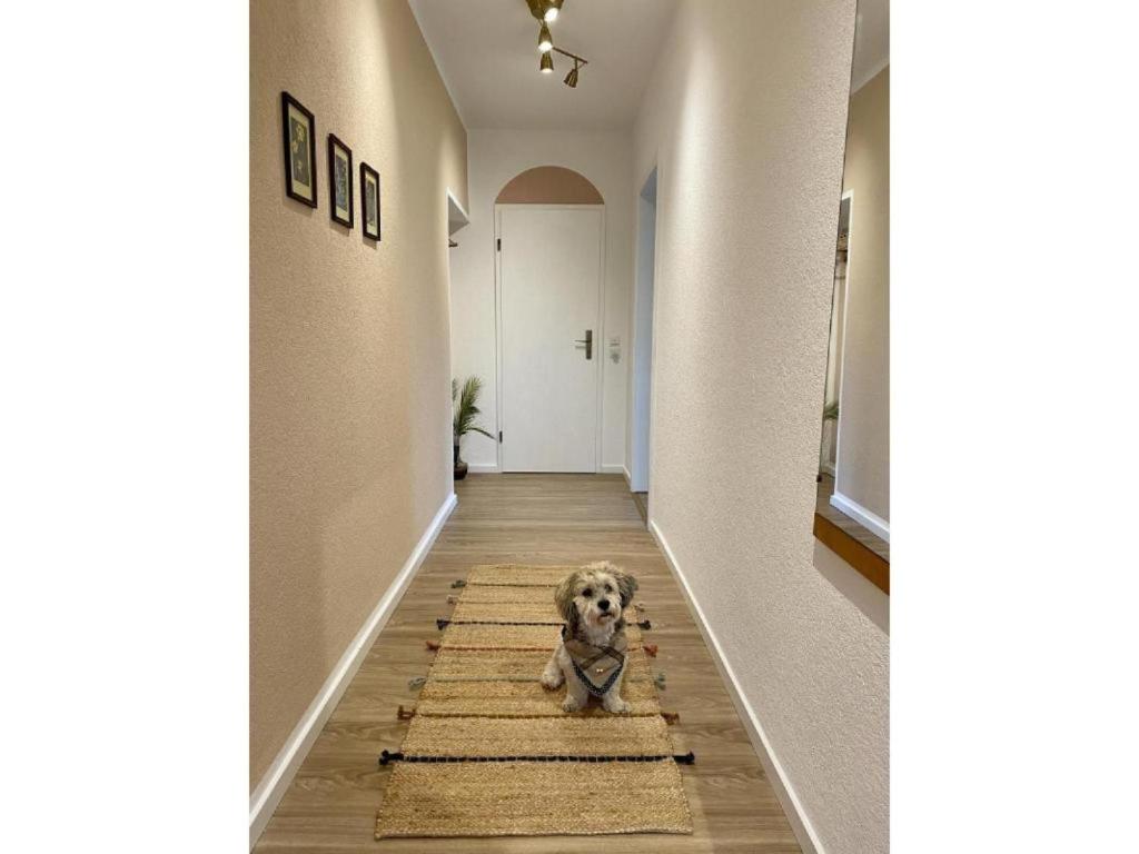 a dog sitting on a rug in a hallway at Ferienwohnung Die Raspel in Melsungen