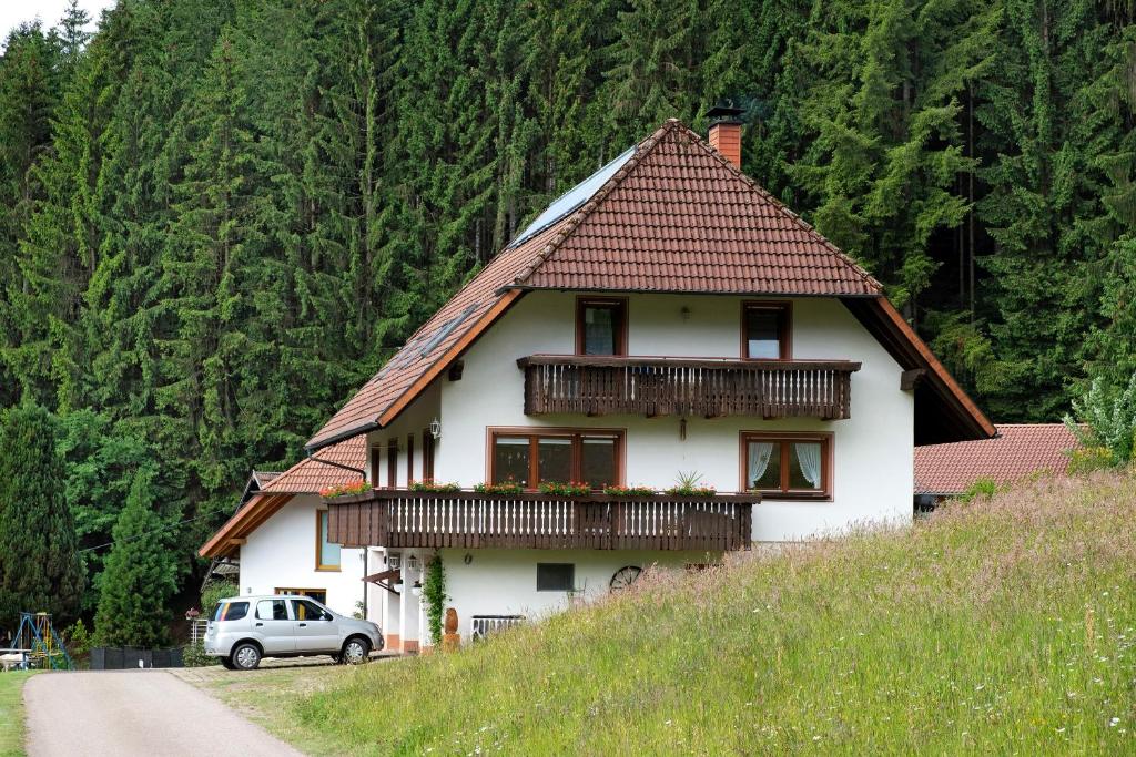 a house on the side of a hill at Ferienwohnung Ringwald in Niederbach