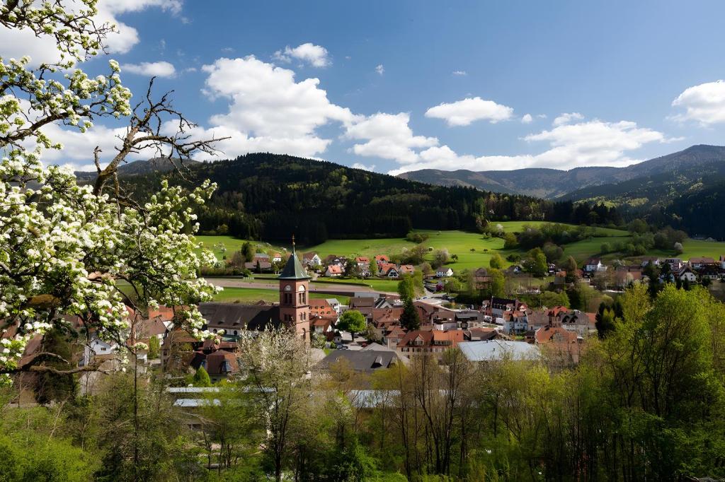 a town in a valley with mountains in the background at Fewo Blumenweg in Elzach