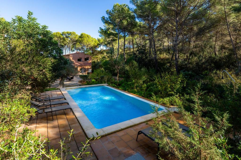 an overhead view of a swimming pool in a garden at Finca Perello in Felanitx