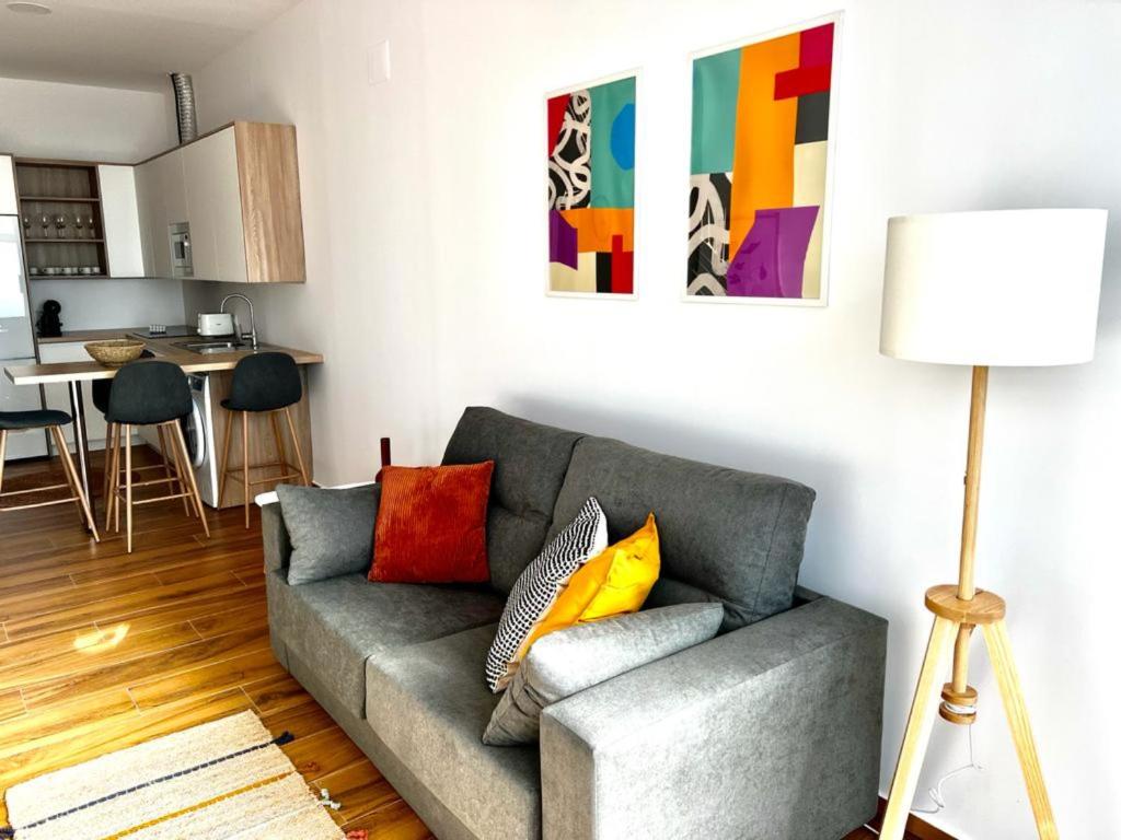 a living room with a gray couch with colorful pillows at Jasmine L7 in Armeñime