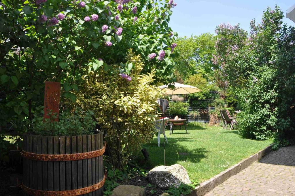 Ferienwohnung Schwarzwald-Traum - Apartamento Deluxe Com 2 Quartos E Vista Jardim