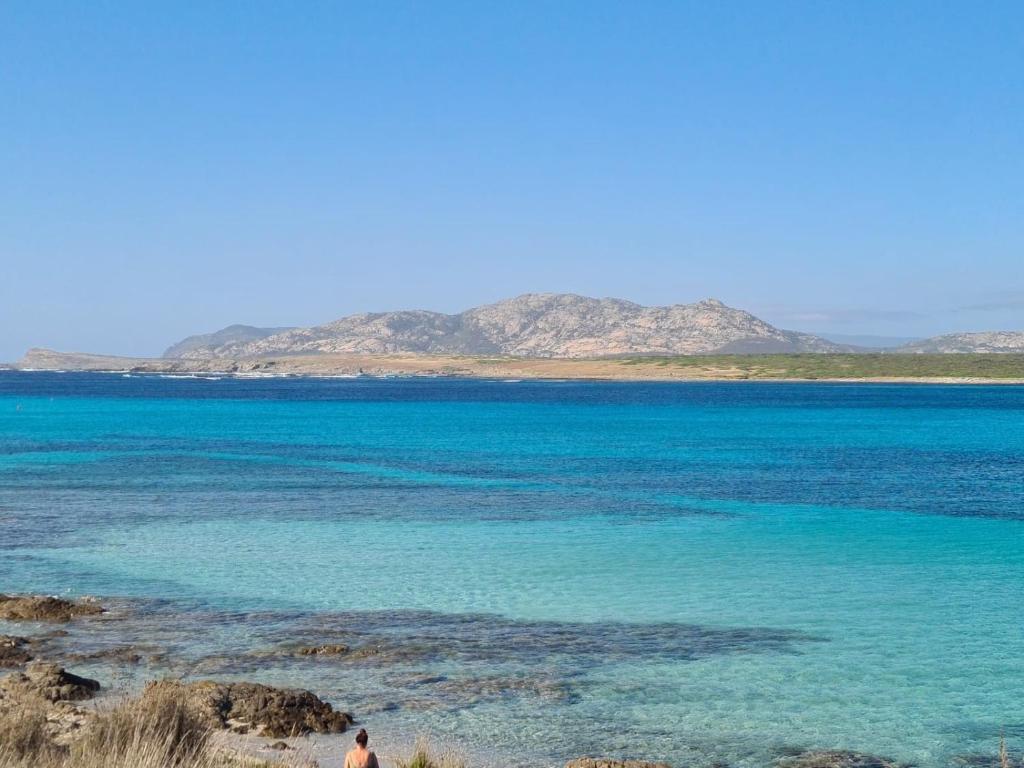 a man standing on a beach near the water at Villino Le Ortensie in Stintino