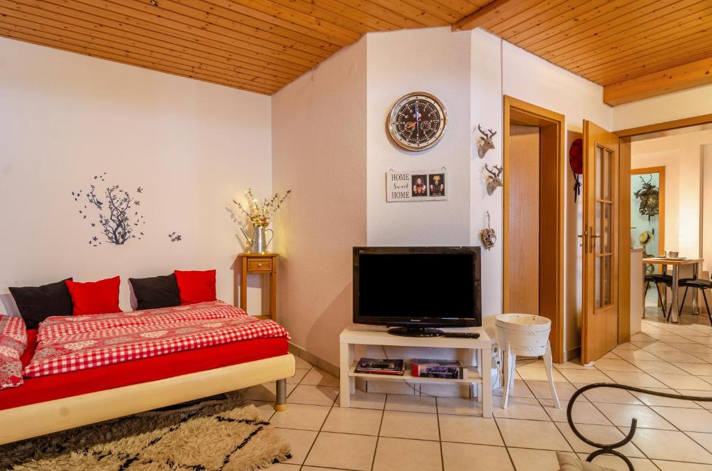 a living room with a couch and a flat screen tv at Schwarzwald Nescht Triberg in Triberg