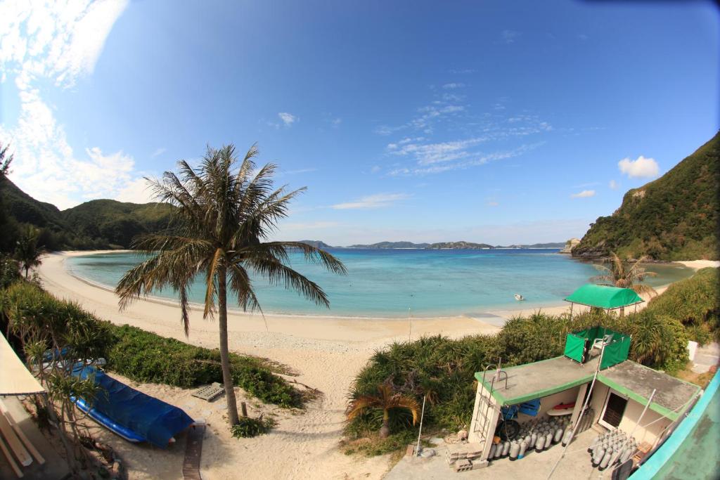 a beach with a house and a palm tree at Tokashiku Marine Villege in Tokashiki