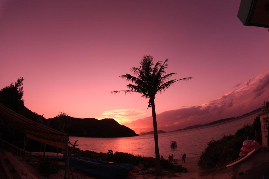 a palm tree on a beach with a sunset at Tokashiku Marine Villege in Tokashiki