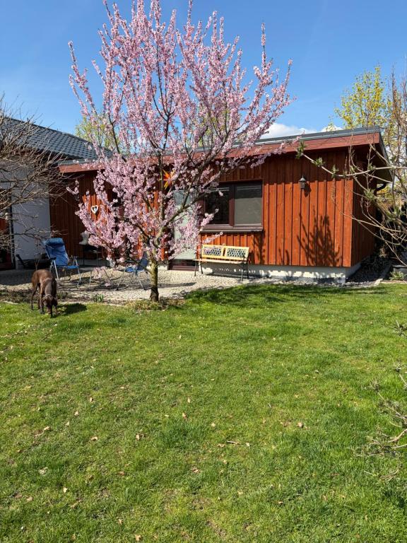 a house with a tree and a dog in a yard at Ferienwohnung Lahost in Lahošt