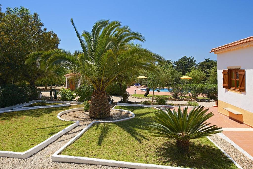 a palm tree in the middle of a park at Quinta da Aroeira in Lagoa