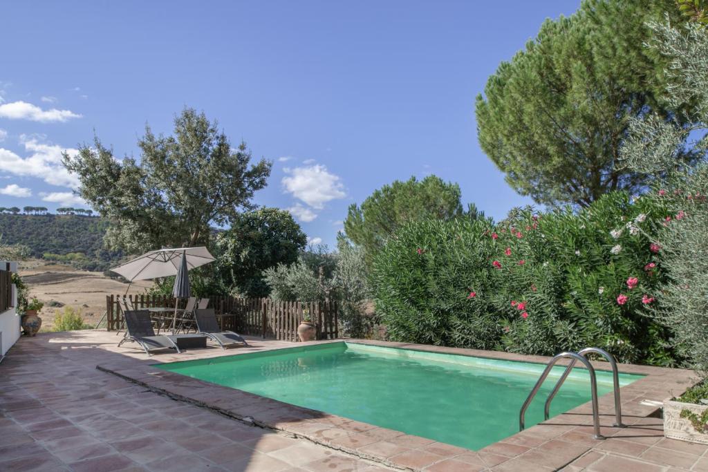 a swimming pool in a yard with trees at Las Mimosas Ronda in Ronda