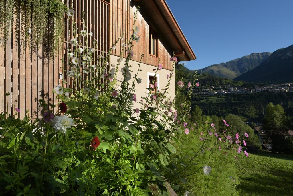 B&B Mas de Lagorae - Housity