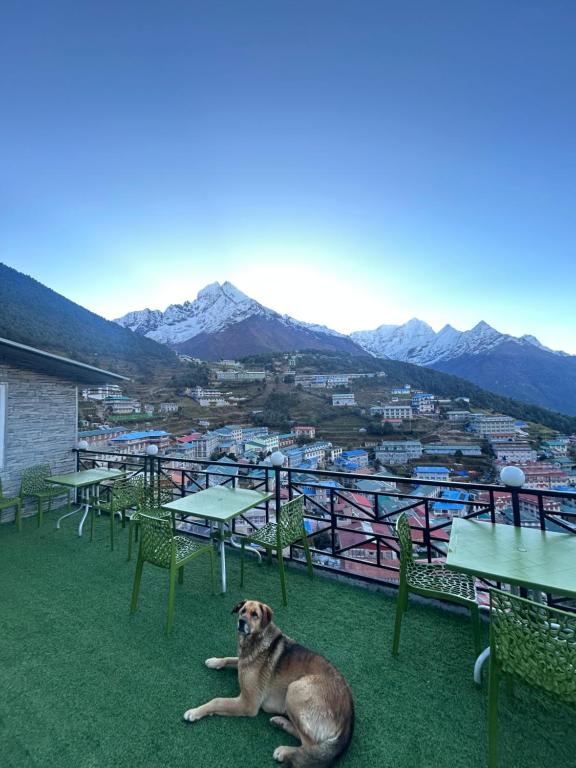 a dog laying on the grass with tables and chairs at Hotel Mountain View - Namche in Namche