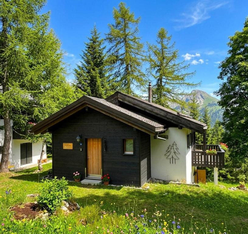 a small black and white house in the grass at Chalet Silentium in Bellwald