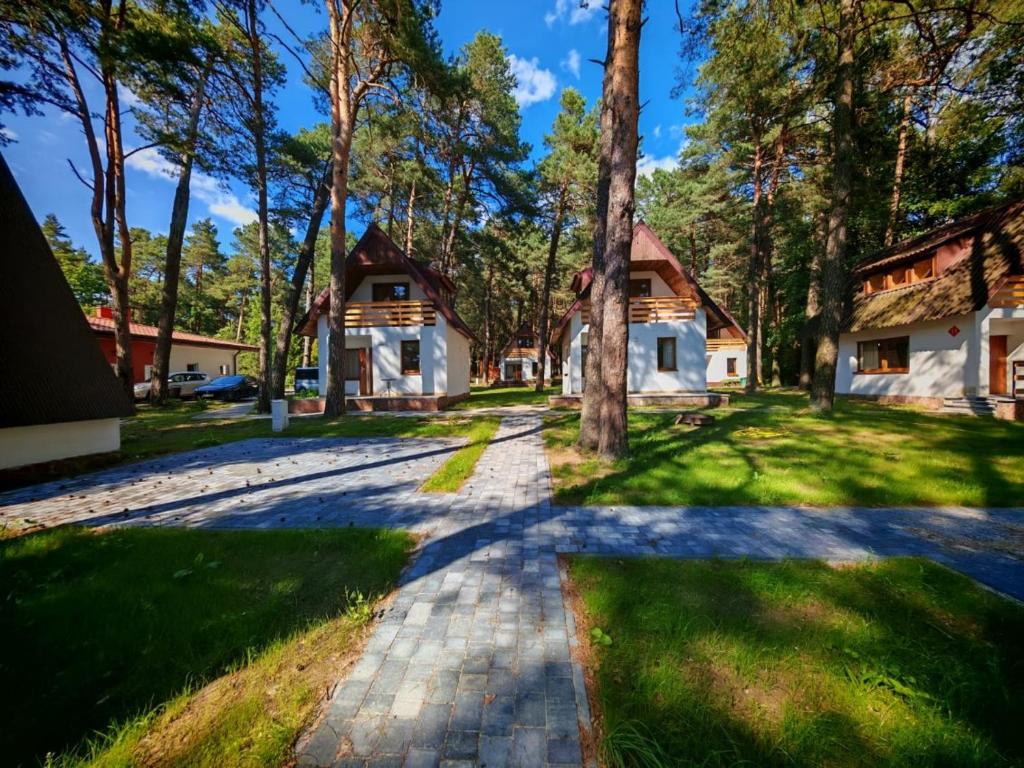 a driveway leading to a house with trees at Domki nad Wierną Rzeką in Chęciny
