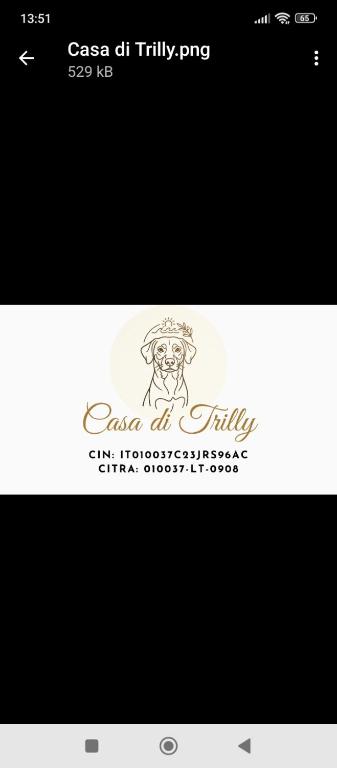 a screenshot of the casa aida entity website at La Casa di Trilli in Moneglia