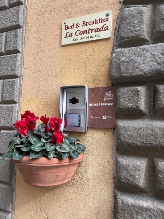 a plant in a pot on a wall with a mailbox at La Contrada in Sarnico