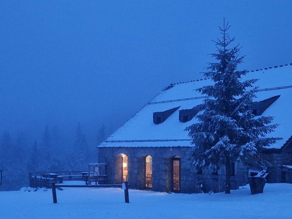 a building with a christmas tree in the snow at Auberge du Mas de la Barque in Villefort