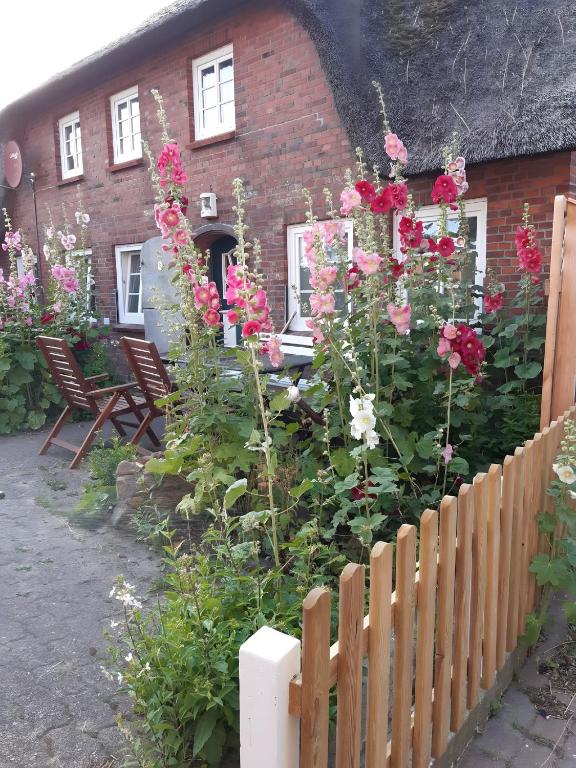 a house with flowers in front of a fence at Ferienhaus Petersen in Langeneß
