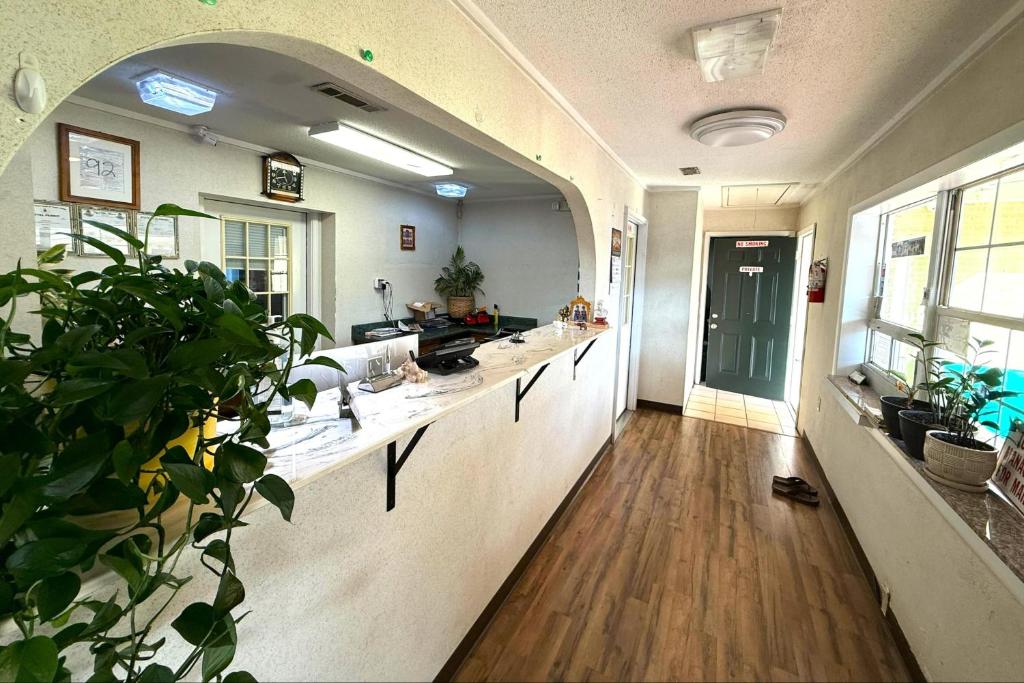 a kitchen with a sink and a counter with plants at Riviera Motel Elba Near Enterprise US 84 in Elba