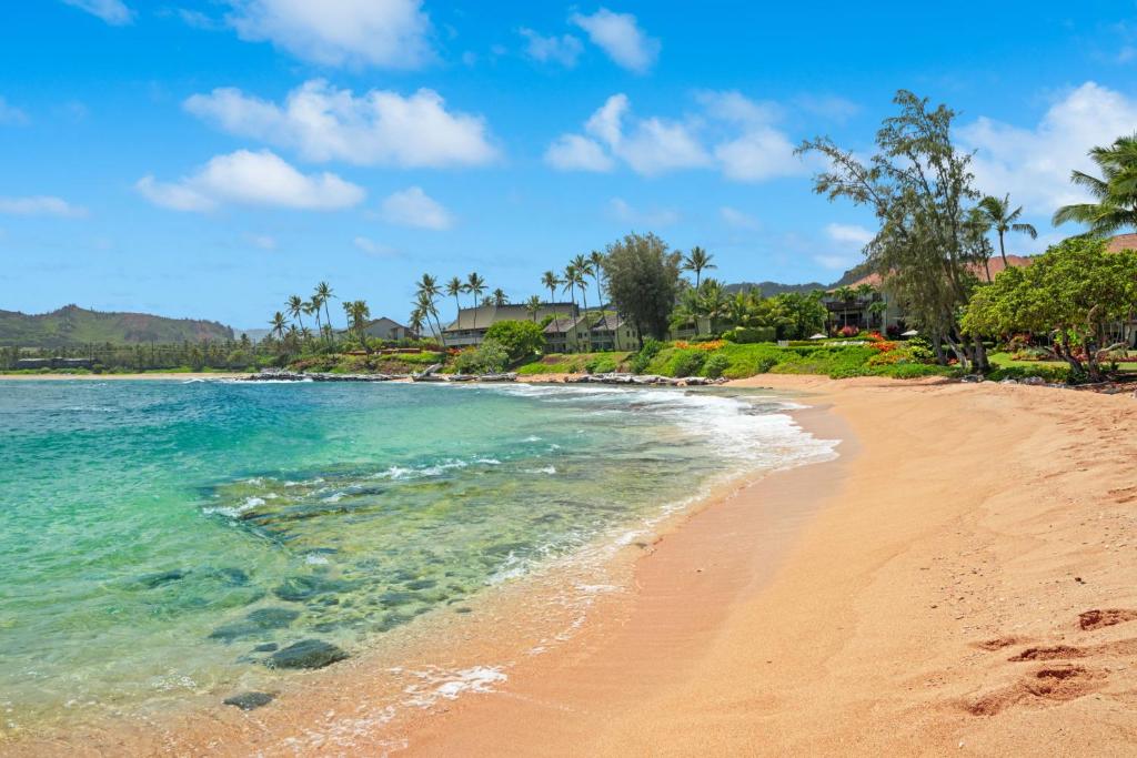 a beach with palm trees and the ocean at NEW Beachfront 2 Bedroom Ocean View Oasis and Pool in Kapaa