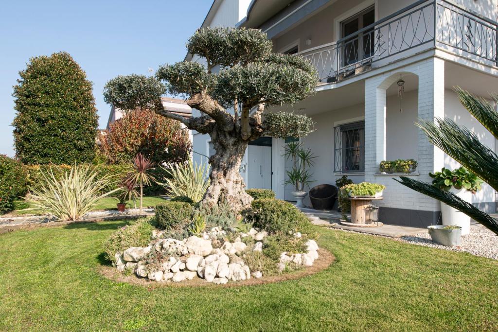 a tree in the yard of a house at L'Ulivo bed and breakfast in Decima