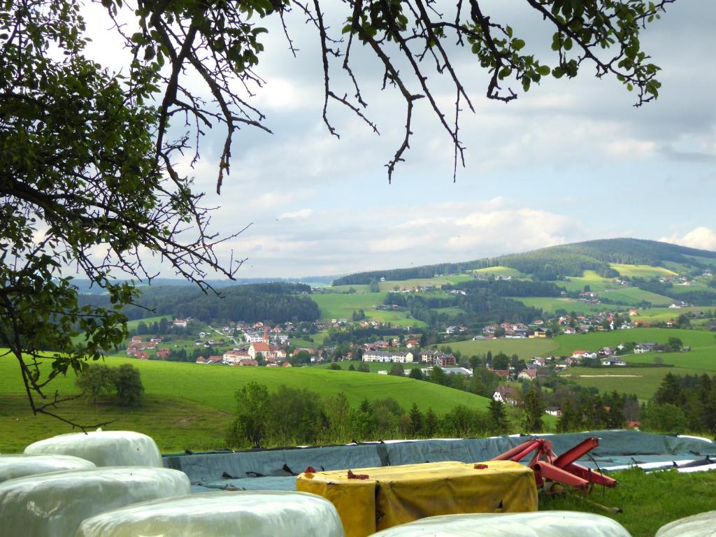 Paesaggio naturale nelle vicinanze dell'appartamento