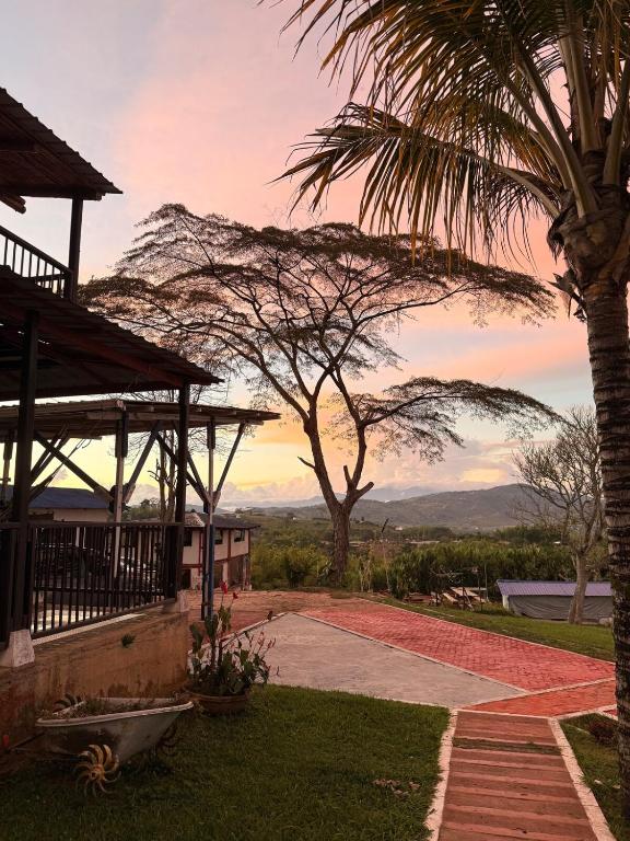 a house with a palm tree and a view of a mountain at Finca en La Cumbre in La Cumbre